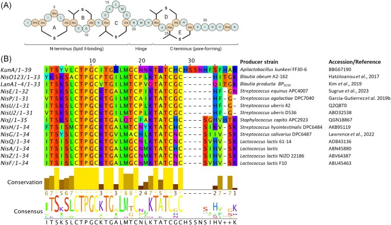 Figure 2.