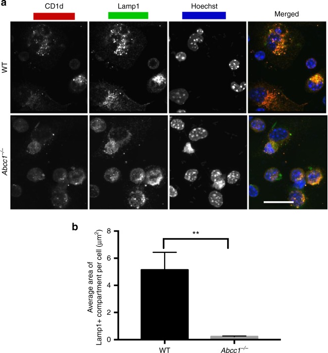 Fig. 9