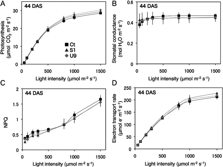 Figure 5. Comparison of photosynthetic parameters between transgenic and control plants. Four different photosynthetic parameters of transgenic (S1, U9) and control (Ct) leaves were measured under various intensities of light at 44 DAS. (A) Photosynthesis rate (µmol CO2 m−2s−1), (B) Stomatal conductance (µmol H2O m−2s−1), (C) Non photosynthetic quenching (NPQ), (D) Electron transport rate (µmol e−m−2s−1).