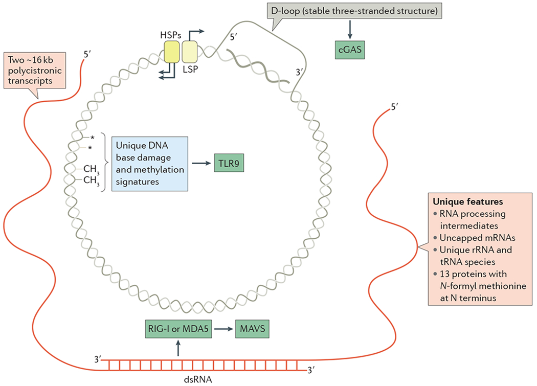 Figure 1 |