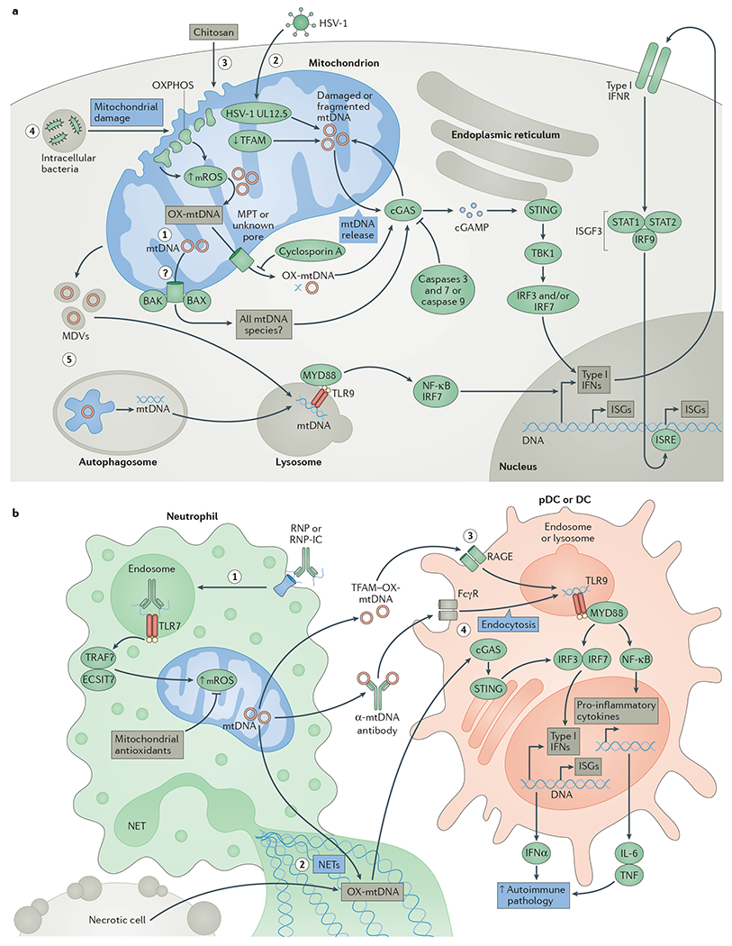 Figure 3 |