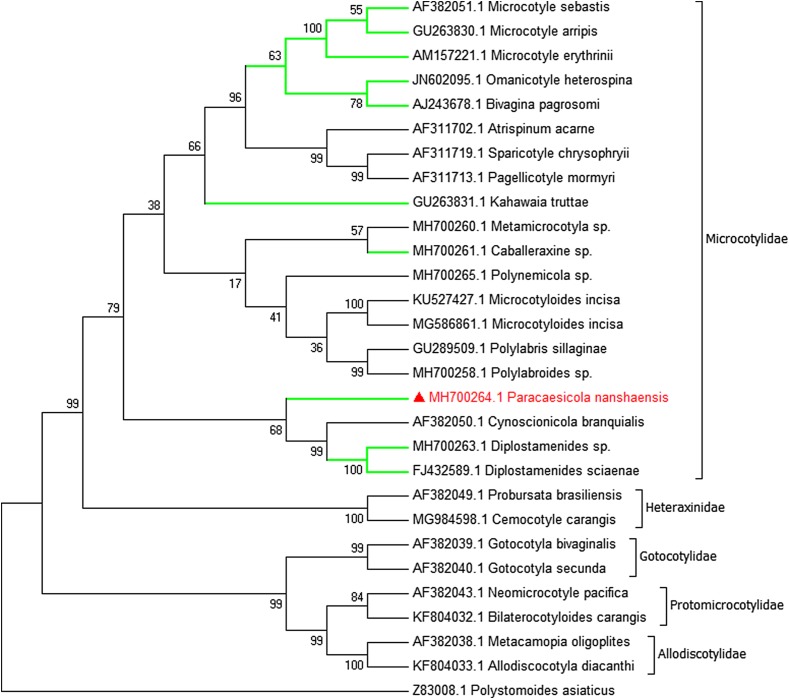 Figure 2