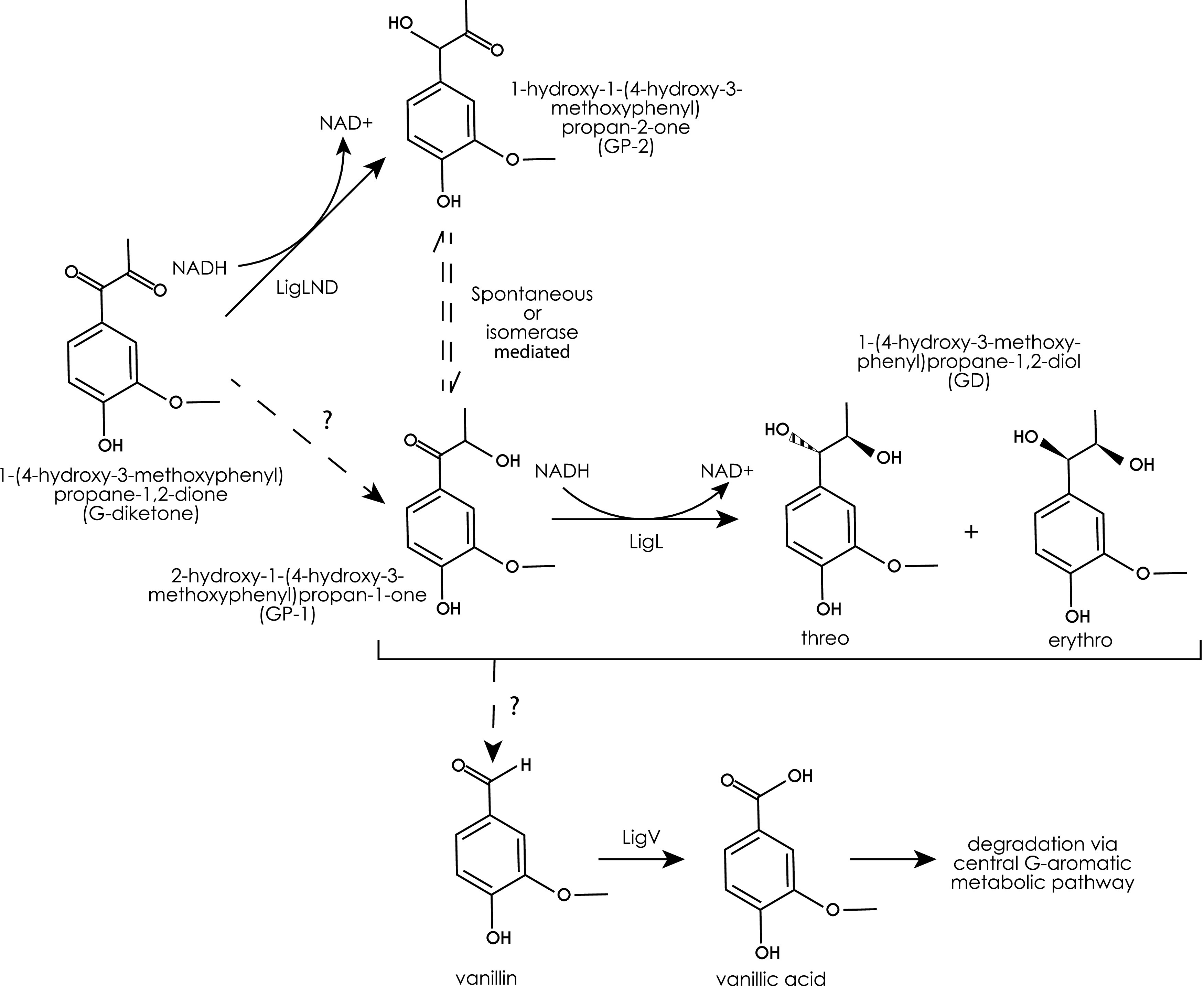 FIG 6