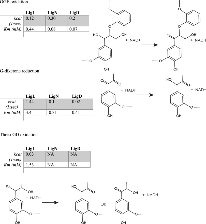 FIG 5