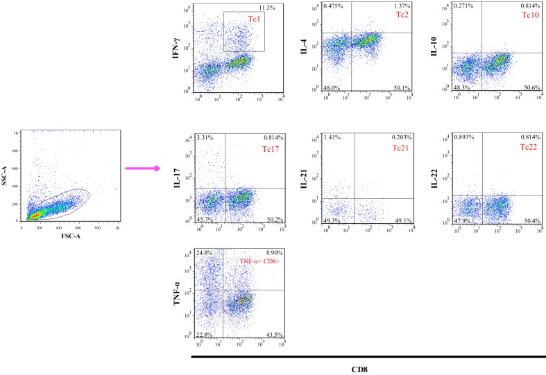 Fig 1