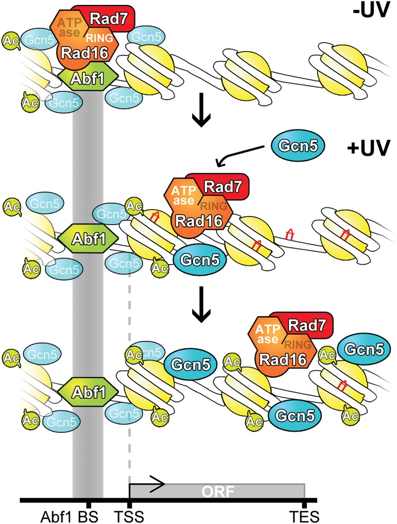 Figure 9.