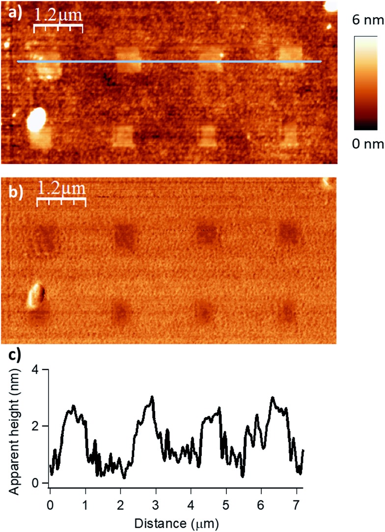 Fig. 3