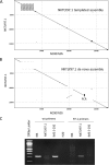 FIG 6