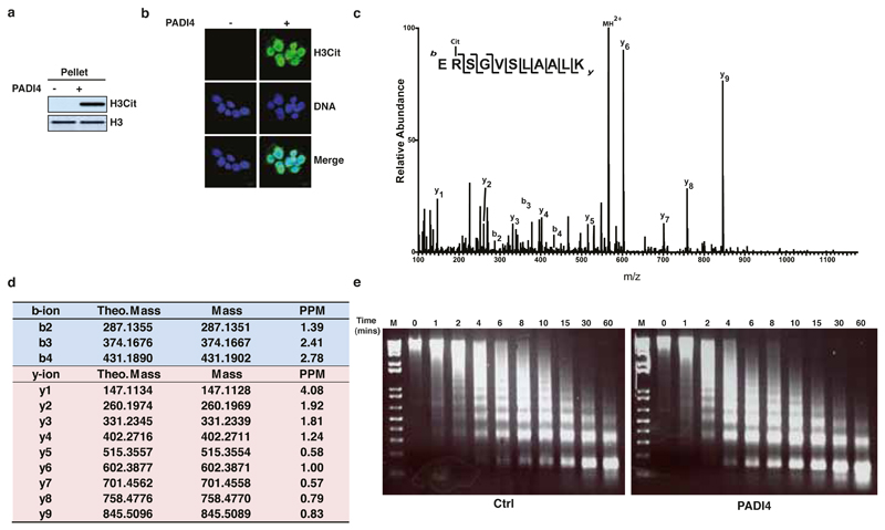 Extended Data Figure 12: