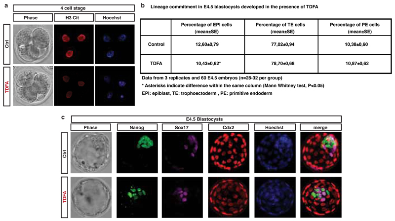 Extended Data Figure 7: