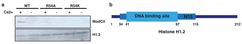 Extended Data Figure 11: