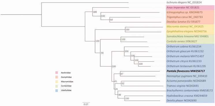 Figure 1.