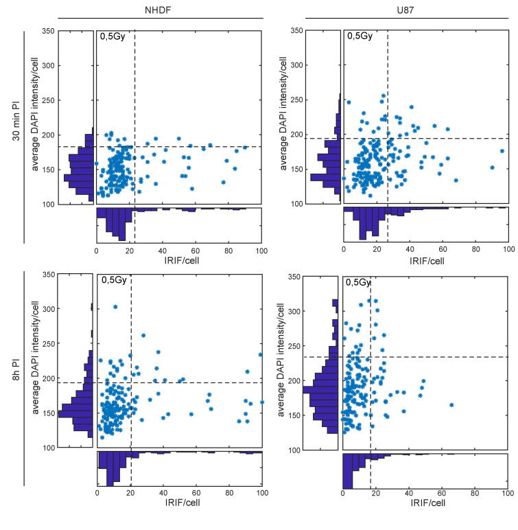 Supplementary data 3