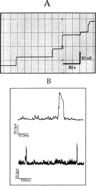 FIG. 6