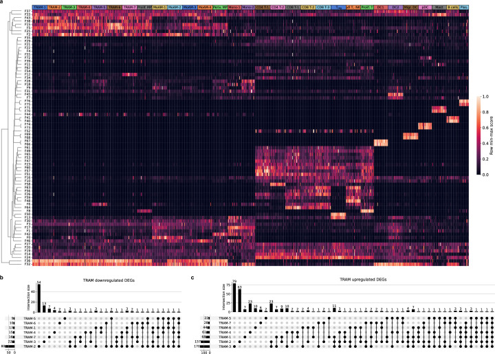 Extended Data Fig. 4