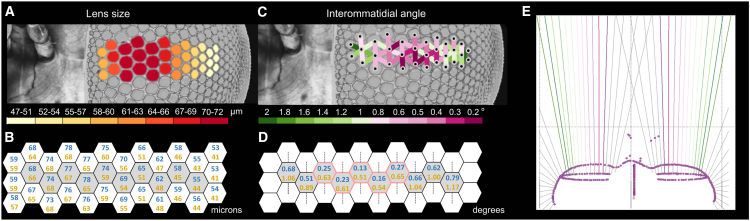 Figure 4