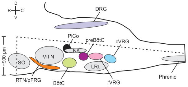 Extended Data Figure 1