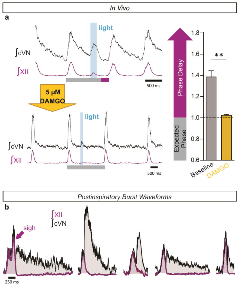 Extended Data Figure 10