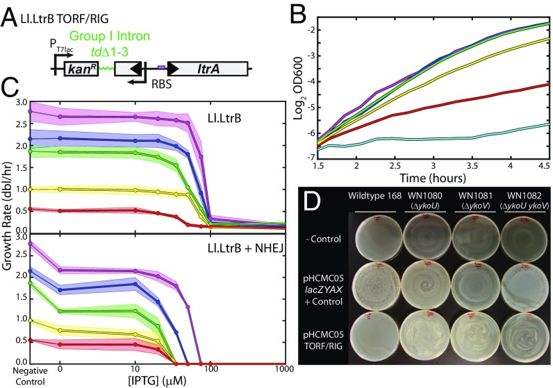 Fig. 2.