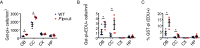 Figure 2—figure supplement 2.