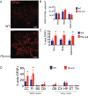 Figure 1—figure supplement 3.