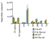Figure 2—figure supplement 4.