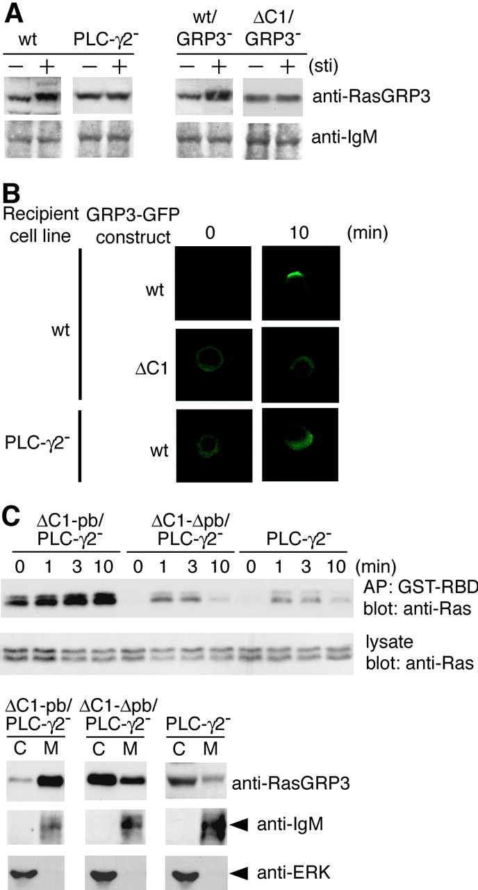 Figure 7.