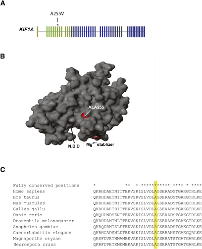 Figure 3.