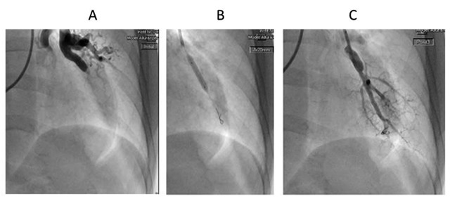 Figure 5