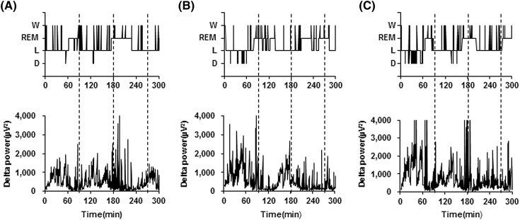 Fig. 3