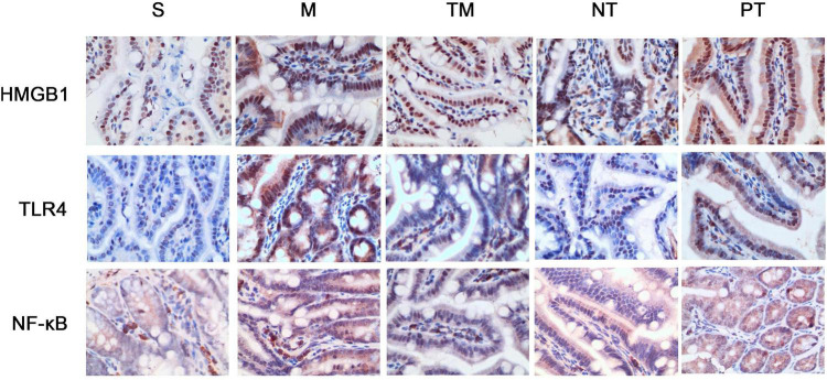 FIGURE 3