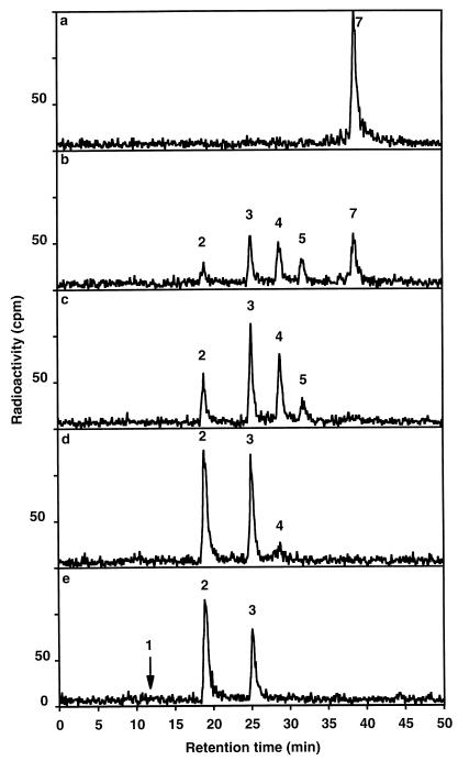 FIG. 5