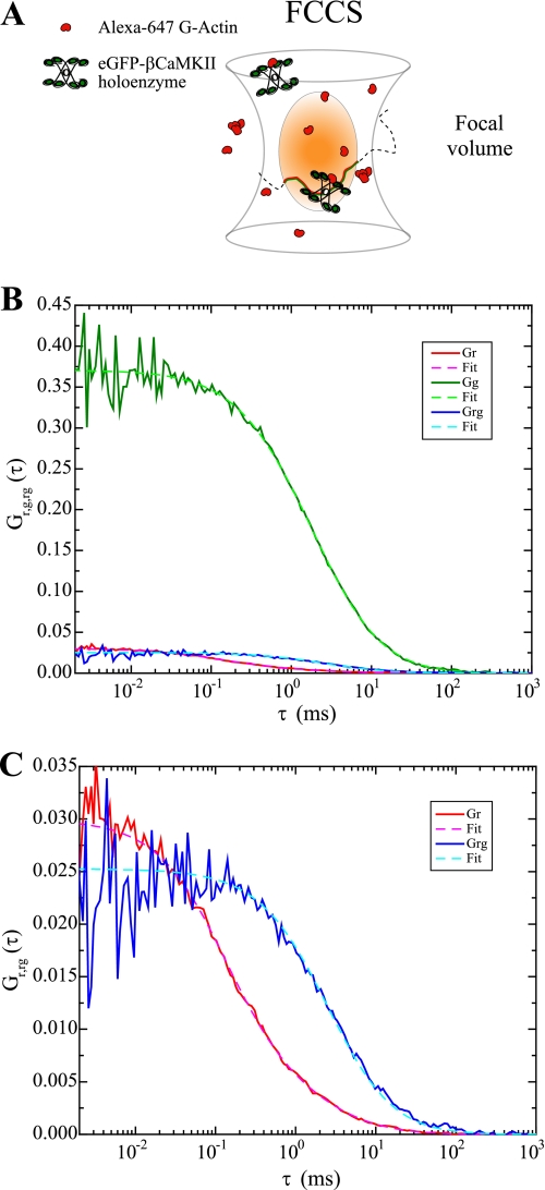 FIGURE 5.