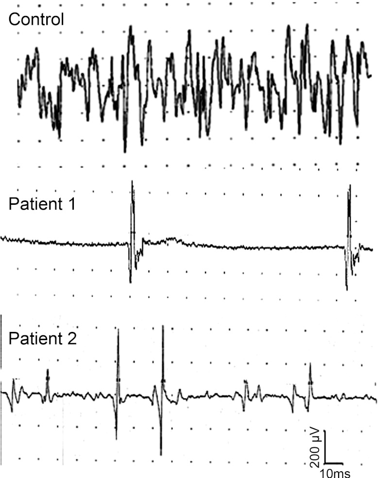 Fig. 1.