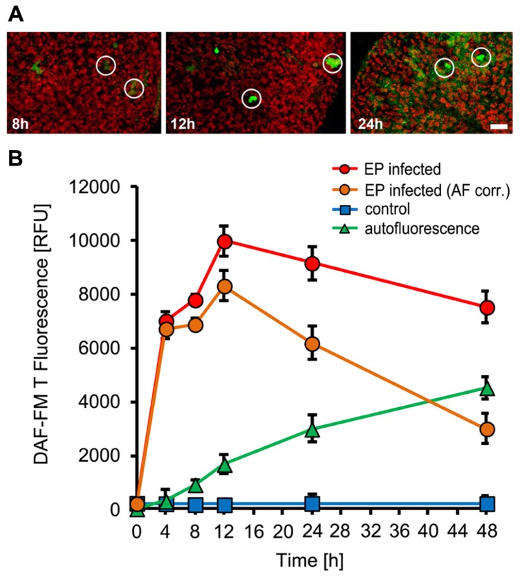 FIGURE 2