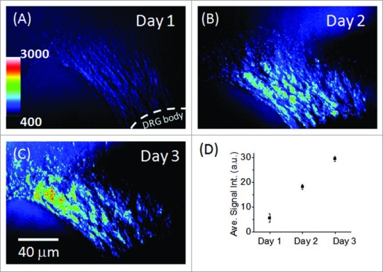 Figure 5