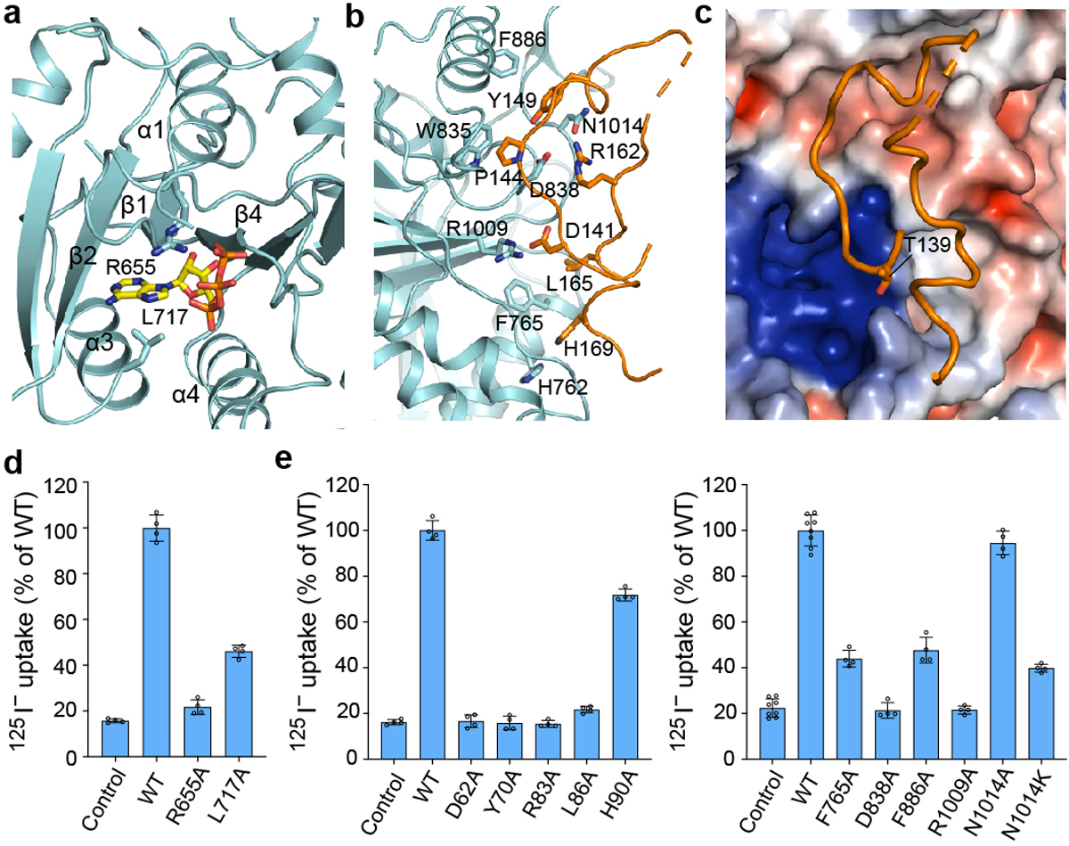 Figure 2 |