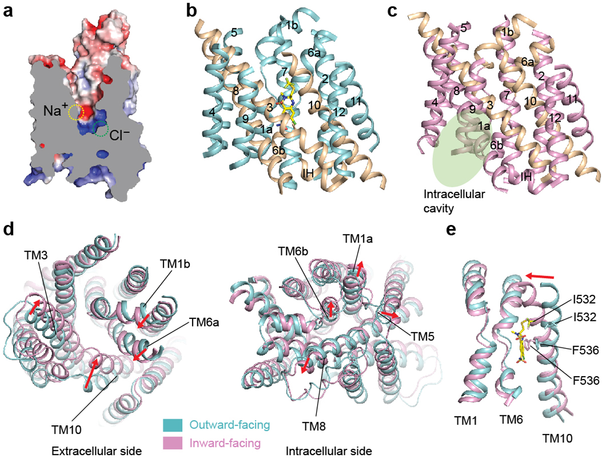 Figure 4 |