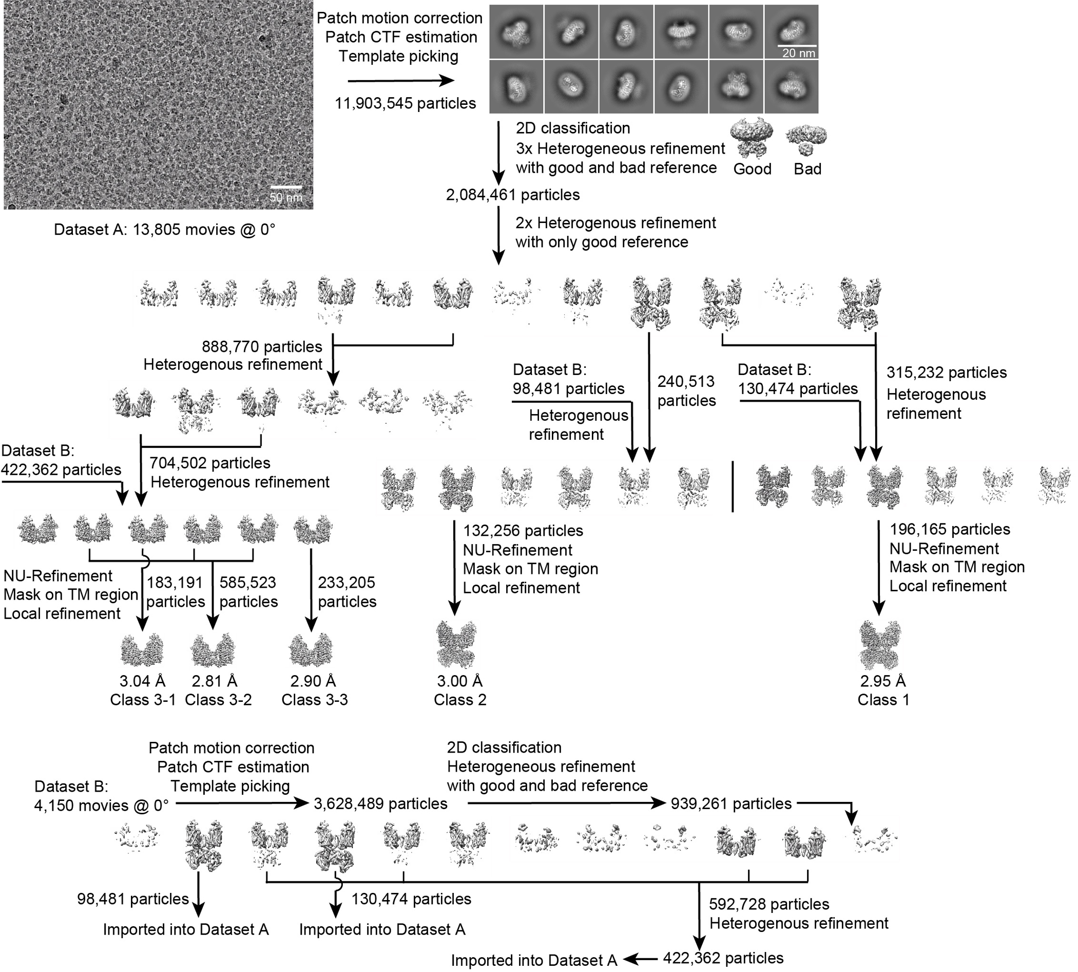 Extended Data Figure 3 |