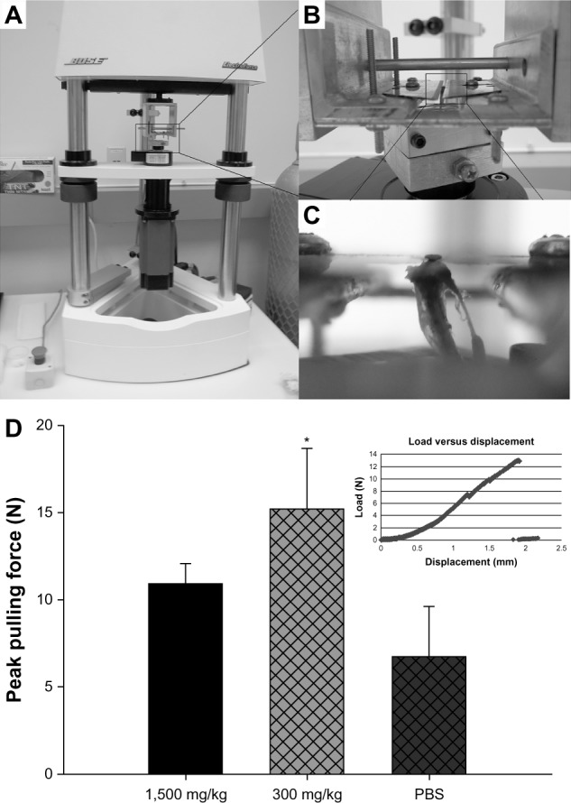 Figure 6