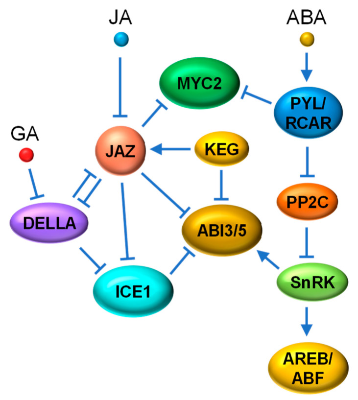 Figure 7