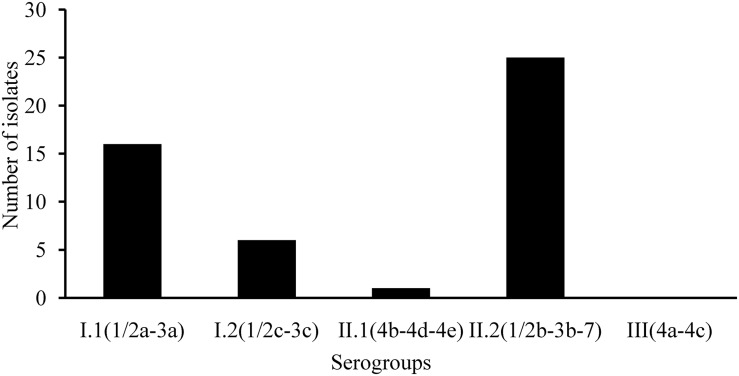 FIGURE 1