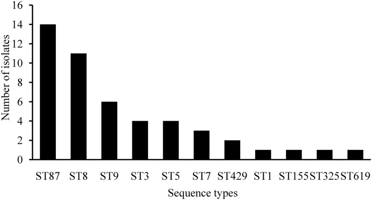 FIGURE 3