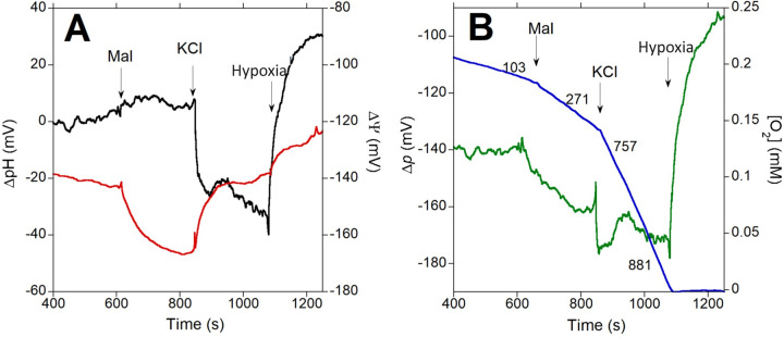 Fig 5