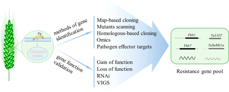 Figure 1