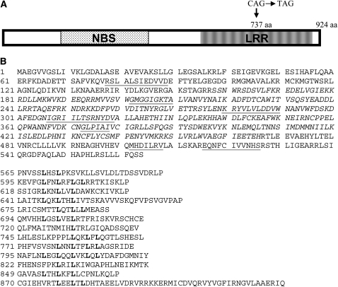 Figure 2.—