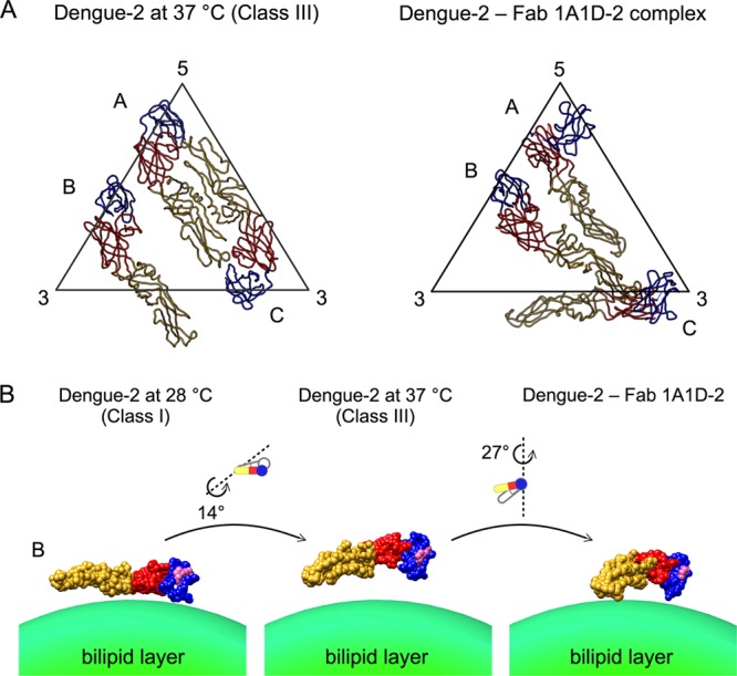 Fig 6