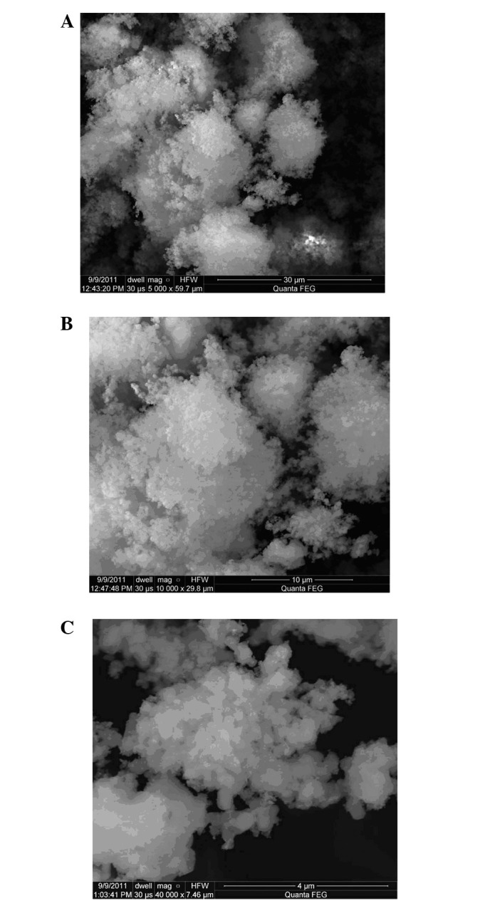 Figure 3.