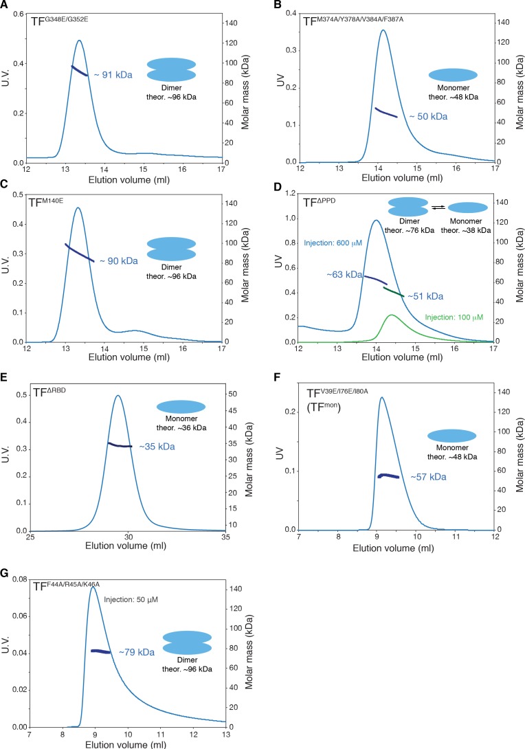 Figure 2—figure supplement 2.