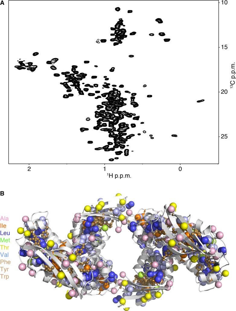 Figure 2—figure supplement 1.